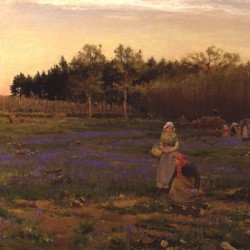 Picking Bluebells